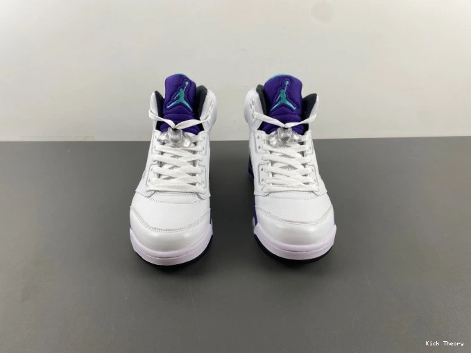Kicktheory Jordan Air 136027-108 Retro Grape (2013) 5 0704